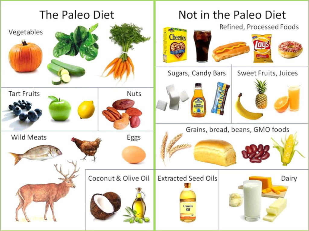 Picture of: A Quick Look at the Paleo Diet & Zone Diet’s Connections to CrossFit