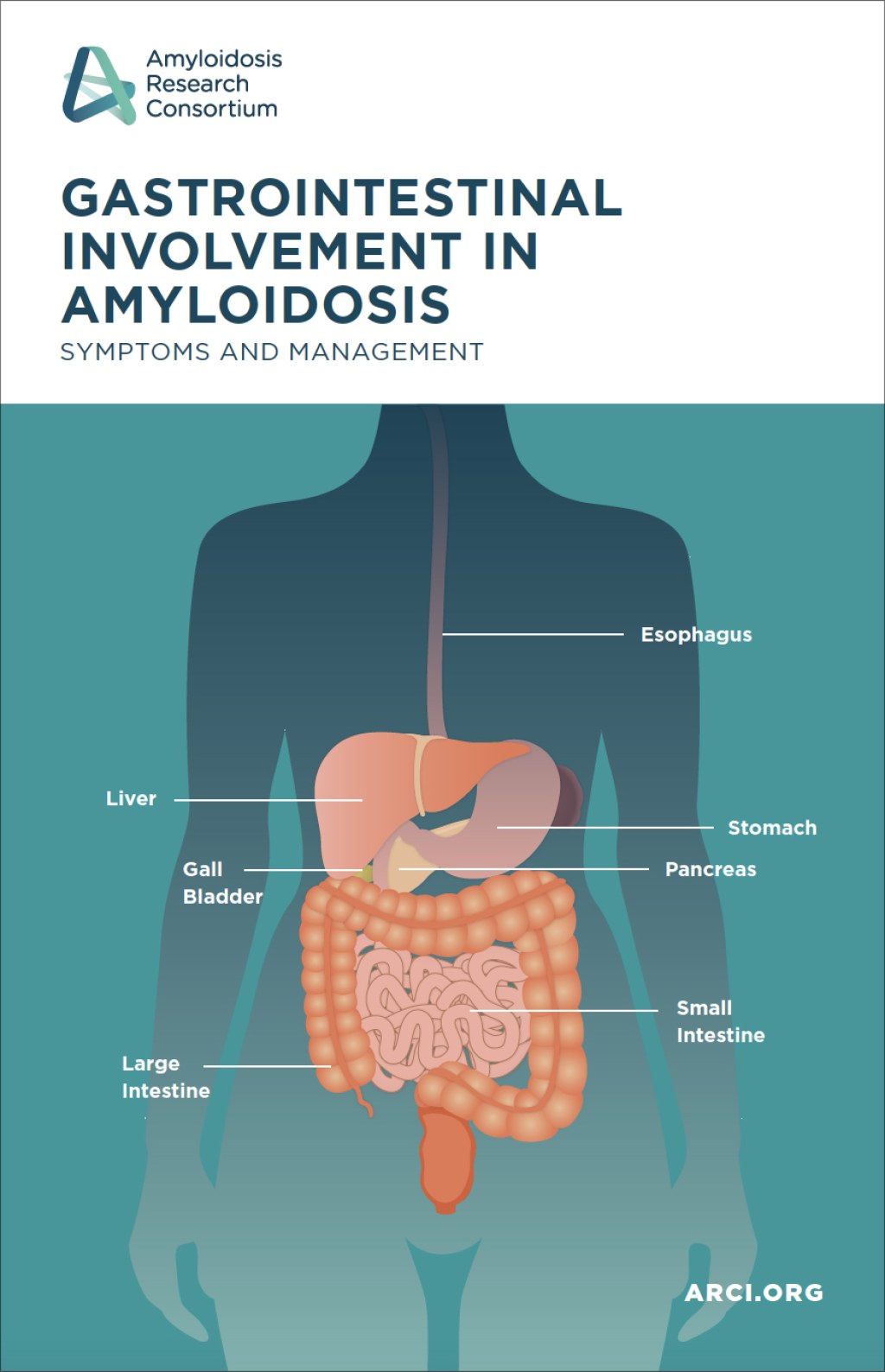 Picture of: Amyloidosis and Nutrition: Eating for Your Health – ARC TALKS
