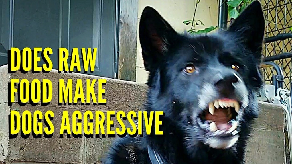 Picture of: Does RAW Food Make Dogs Aggressive