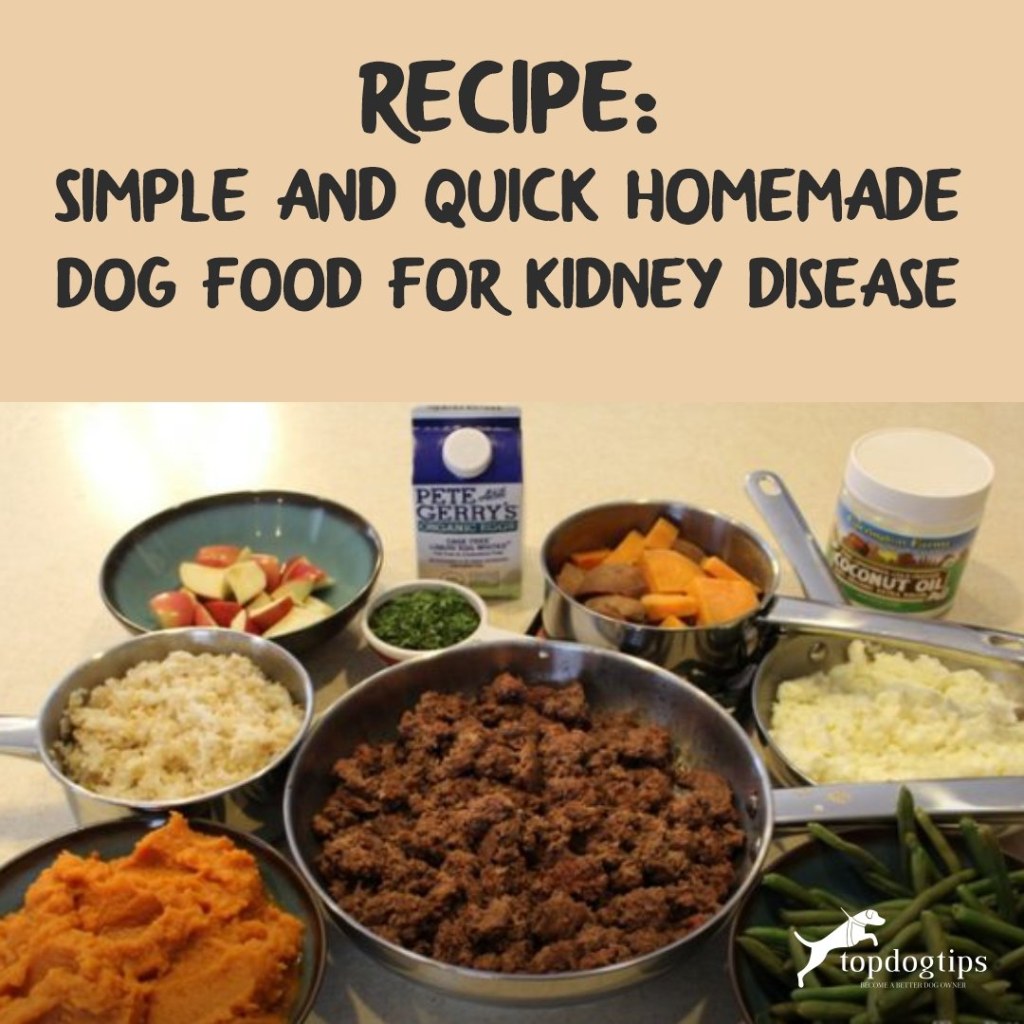 Picture of: Homemade Dog Food for Kidney Disease Recipe Video (Quick, Simple)