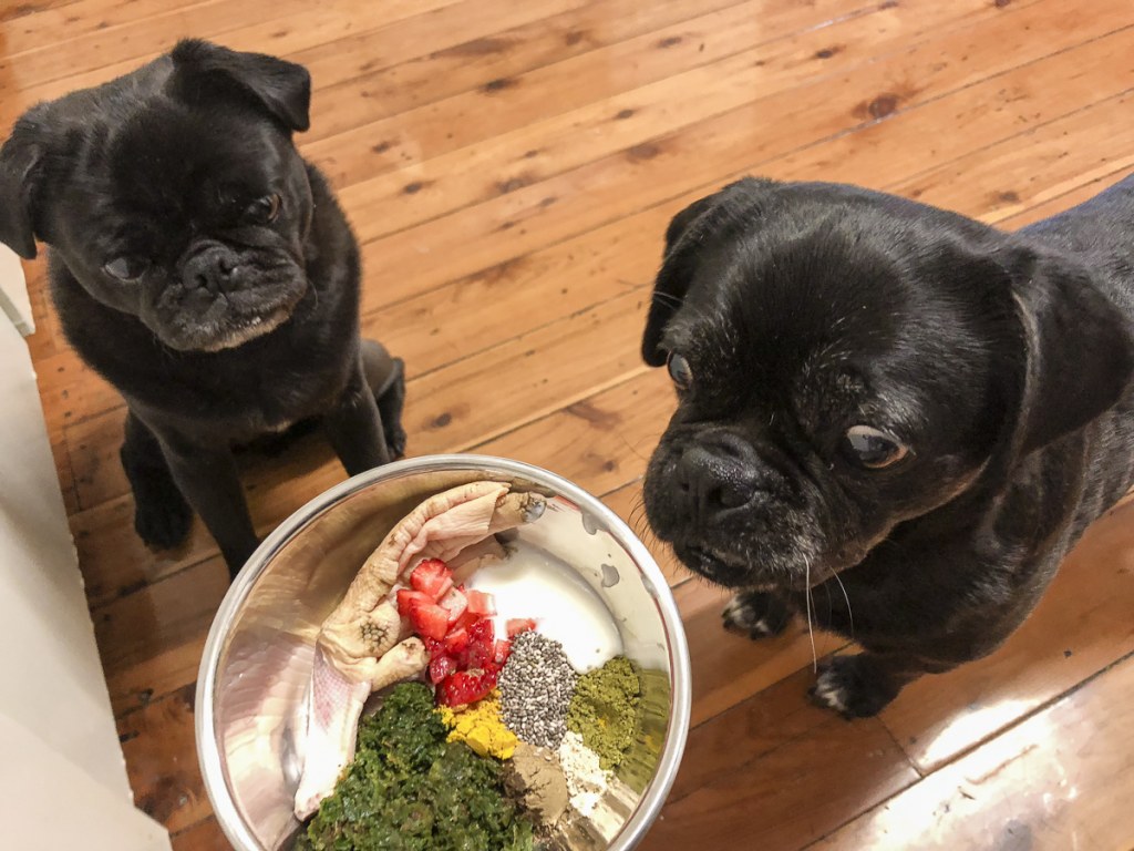 Picture of: How to Feed Vegetables to Your Pug – The Pug Diary