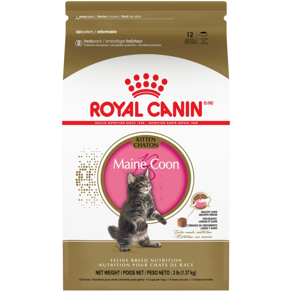 Picture of: Maine Coon Kitten Dry Cat Food  Royal Canin US