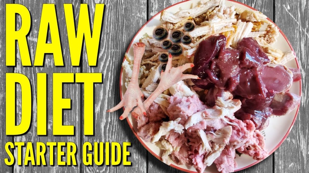 Picture of: RAW Diet Starter Guide – Cane Corso on RAW