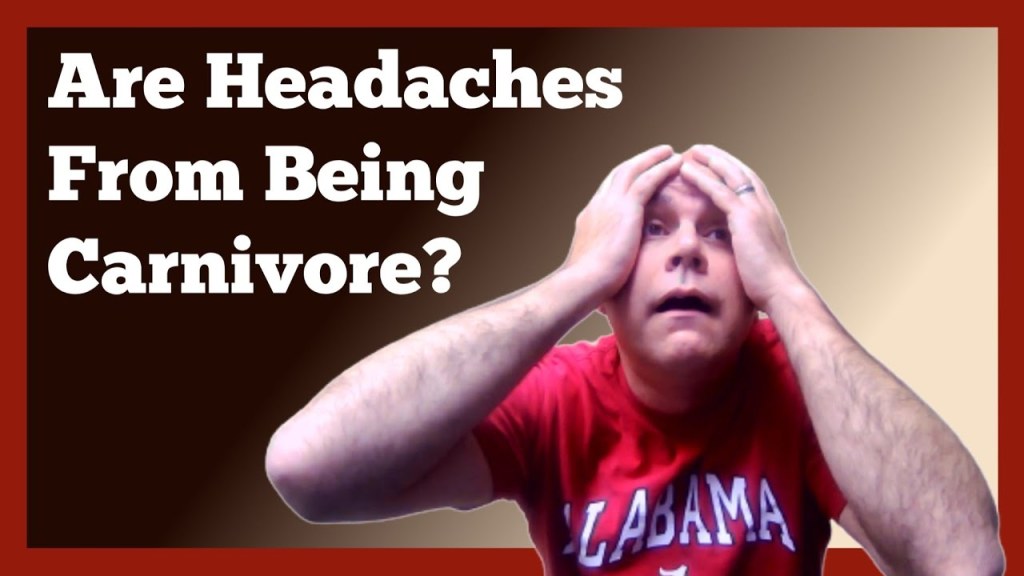 Picture of: Reasons for Headaches on the Carnivore Diet – YouTube