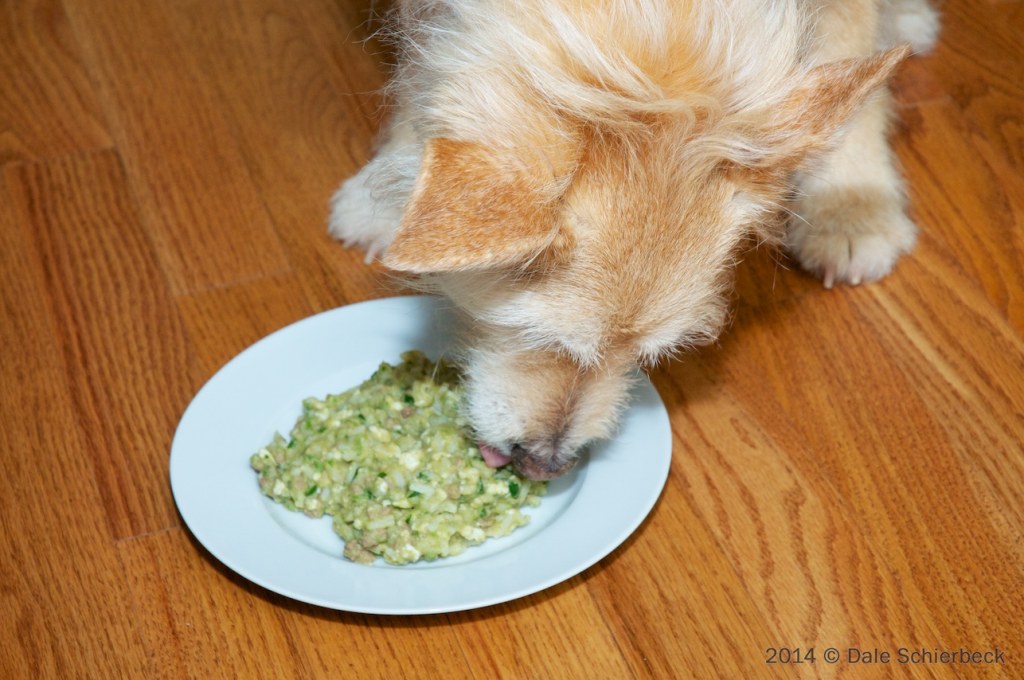 Picture of: Recipe for Low-Phosphorus Dog Food ~ Caring for a Dog with Chronic