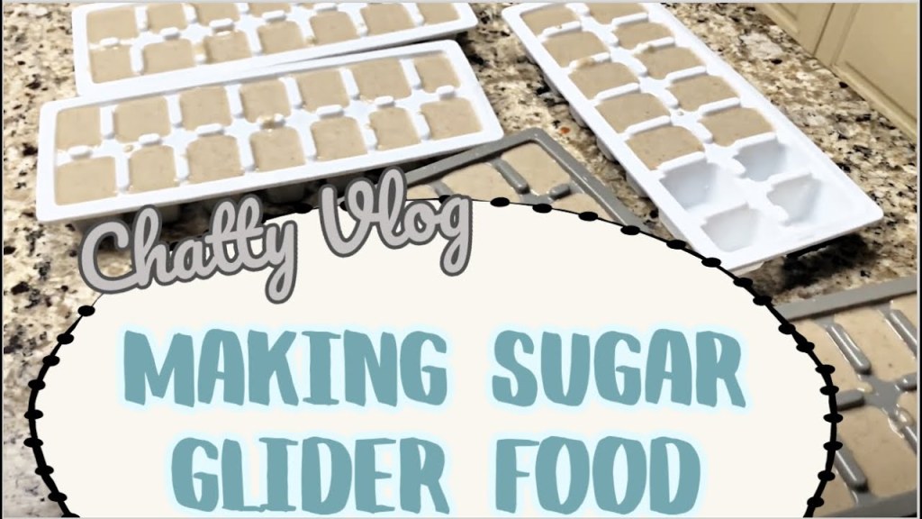 Picture of: SUGAR GLIDER DIET EXPLAINED making my sugar glider bml diet chit chat  with me MyPawfectFamily