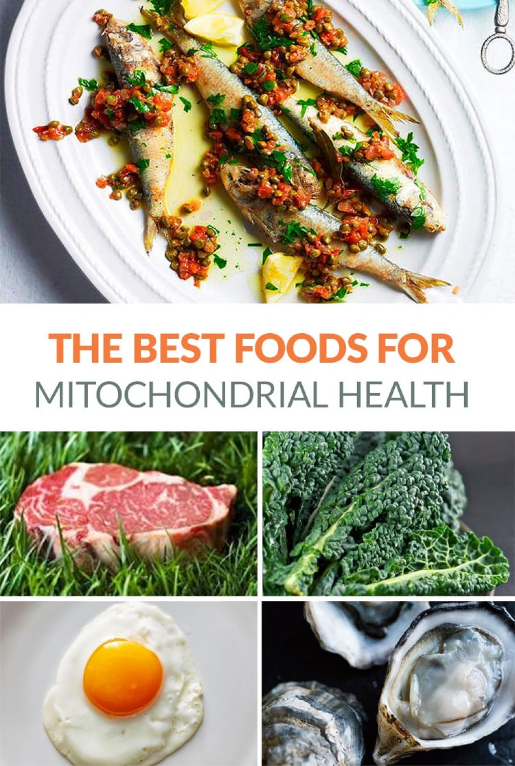 Picture of: The Best Foods For Mitochondria Health