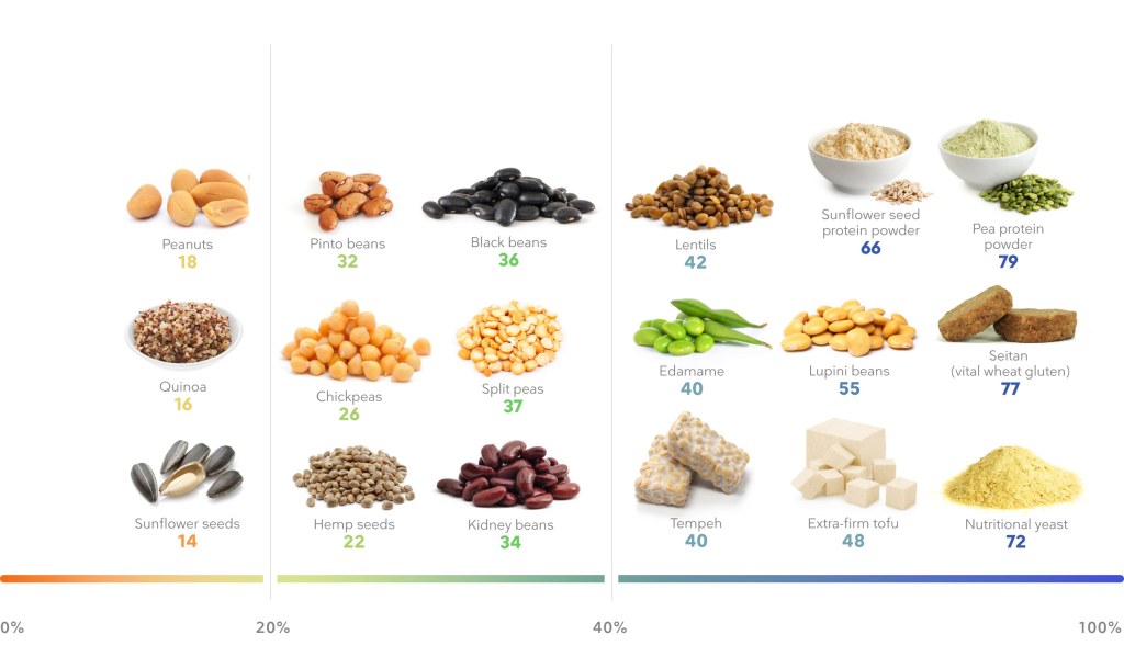 Picture of: The best plant-based high-protein foods for weight loss – Diet Doctor