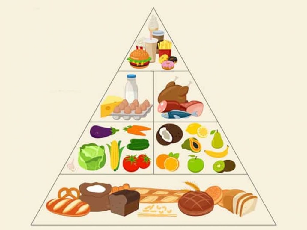 Picture of: Understanding The Indian Food Pyramid
