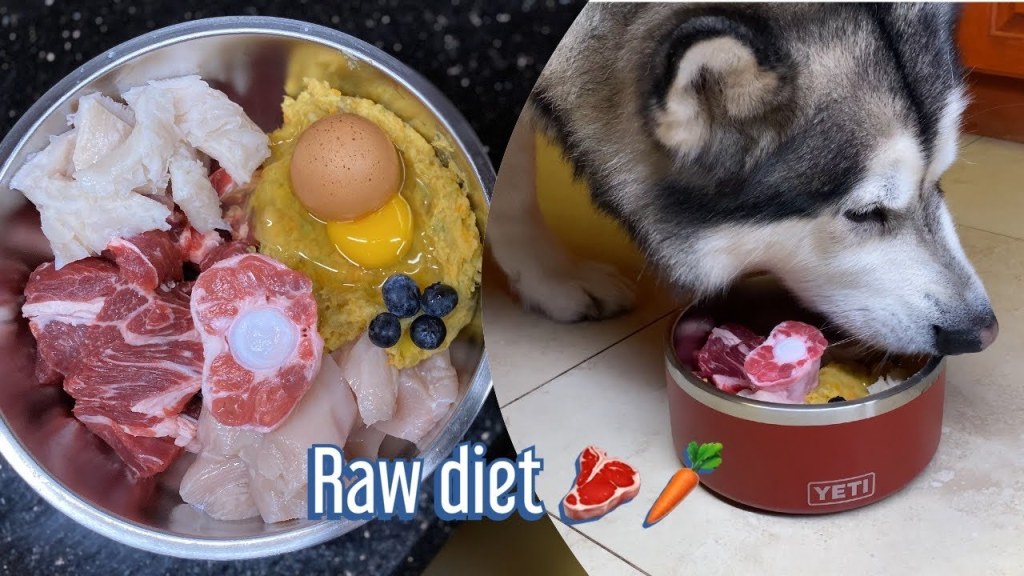 Picture of: Updated Raw diet dog food for my Alaskan Malamutes