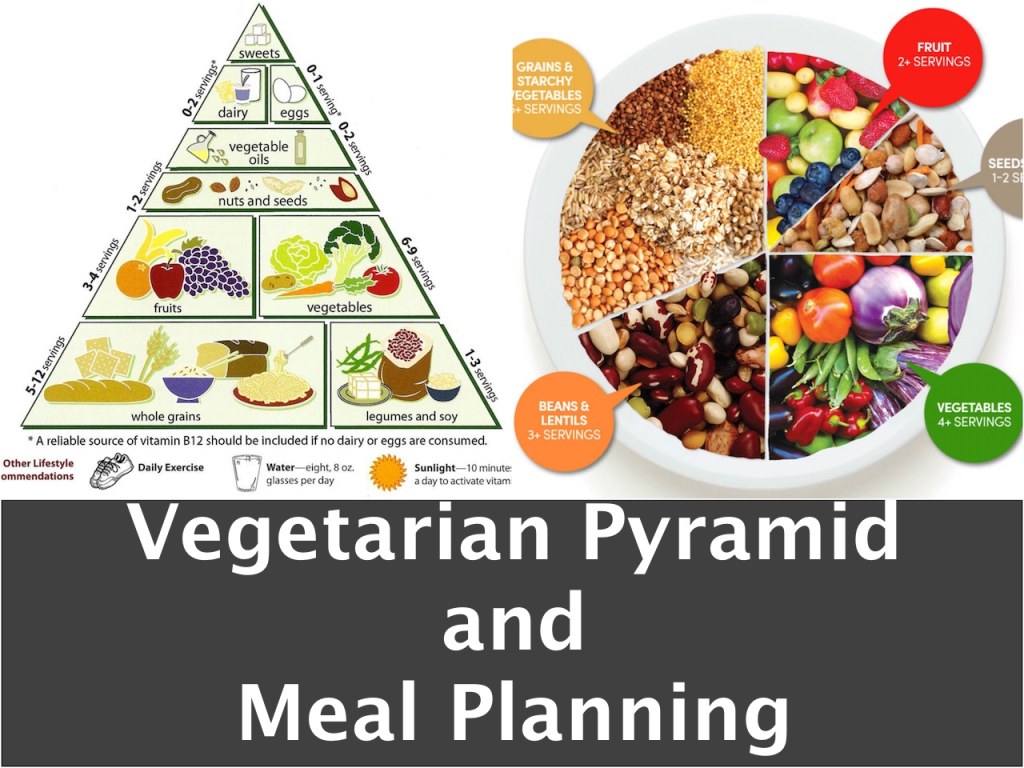 Picture of: Vegetarian Diet Food Pyramid & Meal Planning – Welcome to Bhavna’s