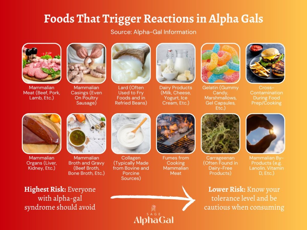 Picture of: What Foods Can You Eat with Alpha-Gal? Answers to Your Biggest