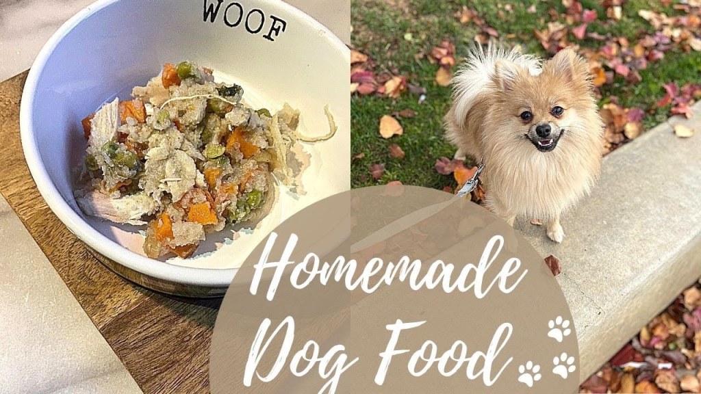 Picture of: What I Feed My Pomeranian HEALTHY + EASY