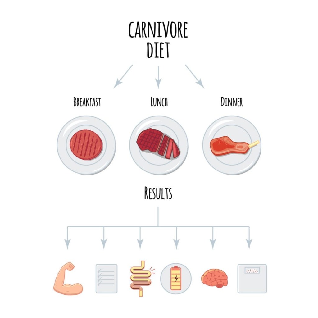Picture of: What is the Keto Carnivore Diet? – Keto Nutrition